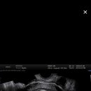 오복산전 이미지