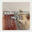 개밥공장 | (개밥공장) 쿠키 져키& 부드러운 패티 후기