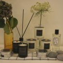 Body Atelier 이미지