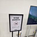 푸드아이 | [맛집]구월 트레이더스 푸드코트 다녀온 후기/아이들과 먹기 좋은 메뉴/가성비맛집