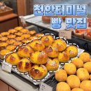 지하우스 이미지