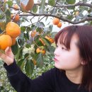 대봉유통 이미지
