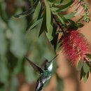 구미대로-32 이미지