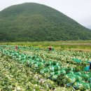 농암시장 이미지