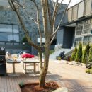 다인카페 이미지