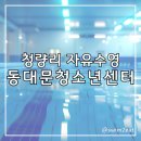 (고등학생~성인)나도드러머(초급) | 시립동대문청소년센터 수영장 자유수영 후기 재방문은 글쎄