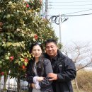 이순신휴게소 이미지