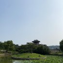 온어피크닉 네이버블로그