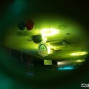 슈렉골프존 이미지