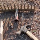 이기봉농장 이미지