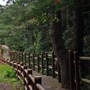 추사 유배길 - 3코스 사색의 길 Daum카페
