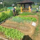 주식회사 드림바이오 이미지