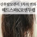 거제센트럴빌 | 거제 헤드스파K모앤두랩 3회차 산후탈모 관리 후기