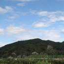 순천-14호 이미지