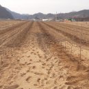 사과나무(주) 이미지