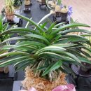 노은1동주민센터 이미지