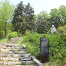 영주 석교리 석조여래입상 이미지