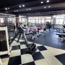 갤러리휘트니스 이미지