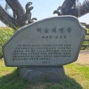 김제여행 Daum카페