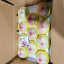 반디농원 이미지