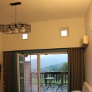 숲속 하얀 뜰 이미지