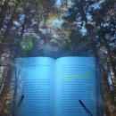 대신 책을 읽어드립니다(북텔러) | 마음의 지혜 책 후기 김경일 | 당신의 예민함은 사실 정교함입니다 추천 리뷰 핵심 요약