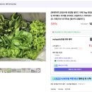 천해농장 | 6시내고향부산리포터 출근길 및 방송 후기[26년2월27일][천마마을유럽쌈채소][KBS전국방송][리포터섭외...