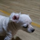 이화동물병원 이미지