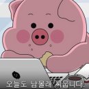 오븐의하루 | [부산 전포 빵지순례 베이커리 맛집] '오븐의 온도' 내돈내산 택배구매 후기