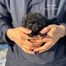 토이 켄넬 이미지