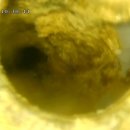 연신초등 이미지