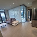 더레지아A 이미지