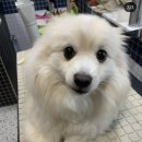 우리함개 이미지