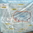 국제꽃식물원 | [서울 | 성수] 서울숲 벚꽃 튤립 구경 비추천 이유 꽃사슴 볼 수 있는곳 성수벚꽃지도