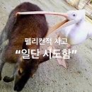 스릴을즐기는소녀최후의날