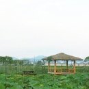신문기획
