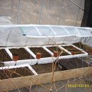 가온목장 이미지