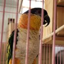 송현119안전센터 이미지