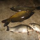 중흥 낚시터 이미지