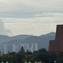 세븐일레븐 대구입석타운점 | 인구 13만도시 김천에 25만명이 방문했다는 2025년 김천 김밥축제 방문기