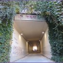 안골길 9 이미지