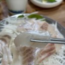 부산 사하구 맛집 허영만 백반기행에 나온 괴정 남해달인횟집 회백반 솔직후기!