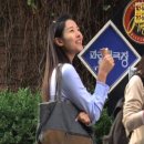 국화꽃향기