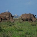 울산광역시 야생동물구조센터 이미지