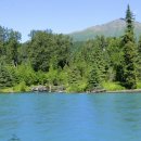 가시 살이 이미지