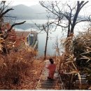 황청낚시터 이미지