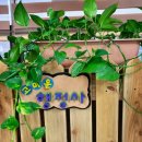 고마운행정사 이미지