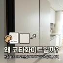 R-2 | 삼성 비스포크 AI 냉장고 25년형 4도어 키친핏Max RM70F63R2A 후기: 왜 코타화이트일까?