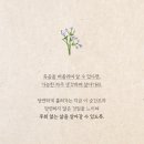 오늘더예쁜