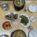 수정수진1-D-1 | [전주 중화산동 순대국밥] 막창순대 맛보러 간 동네 맛집 정수진풍년순대 본점 솔직 후기